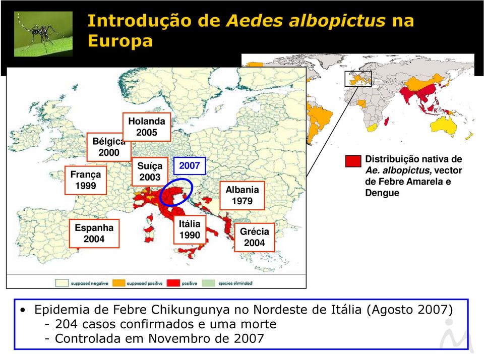 albopictus, vector de Febre Amarela e Dengue Espanha 2004 Itália 1990 Grécia
