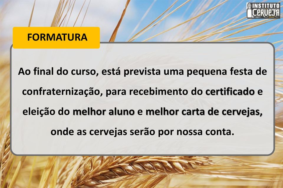 do certificado e eleição do melhor aluno e melhor