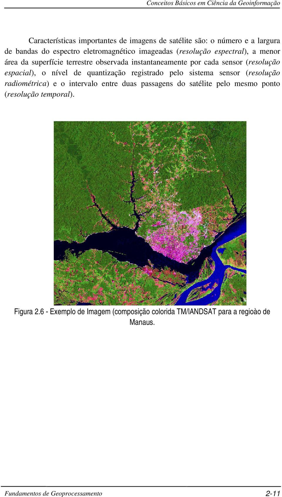espacial), o nível de quantização registrado pelo sistema sensor (resolução radiométrica) e o intervalo entre duas passagens do satélite pelo