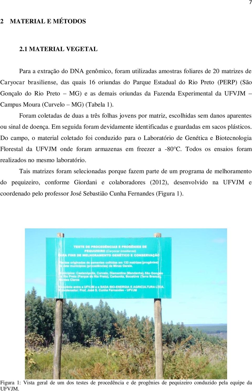 do Rio Preto MG) e as demais oriundas da Fazenda Experimental da UFVJM Campus Moura (Curvelo MG) (Tabela 1).