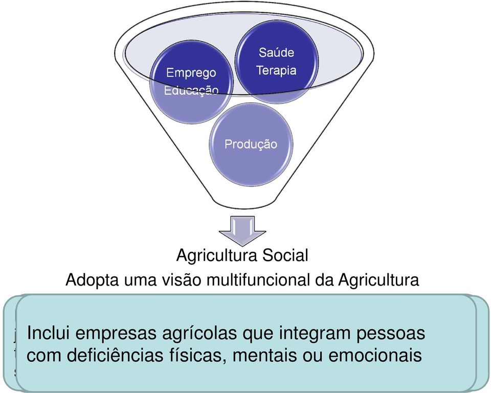 seniores activos, escolas e quintas jardim de infância.