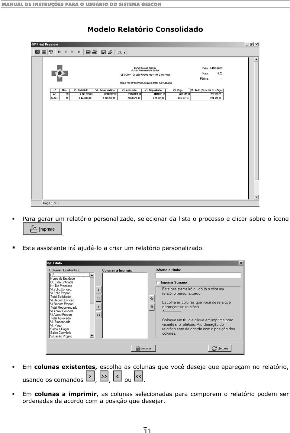 Em colunas existentes, escolha as colunas que você deseja que apareçam no relatório, usando os comandos,,