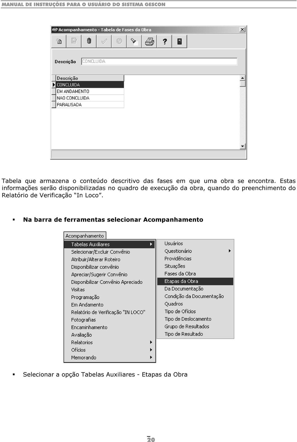 do preenchimento do Relatório de Verificação In Loco.