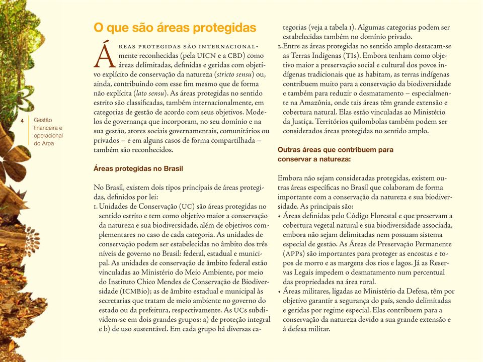 As áreas protegidas no sentido estrito são classificadas, também internacionalmente, em categorias de gestão de acordo com seus objetivos.