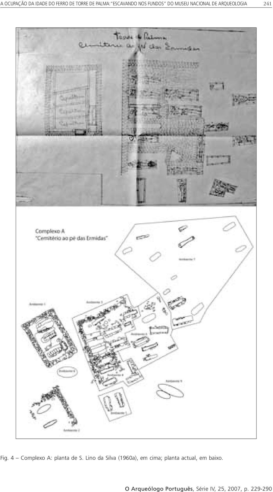 ARQUEOLOGIA 241 Fig. 4 Complexo A: planta de S.