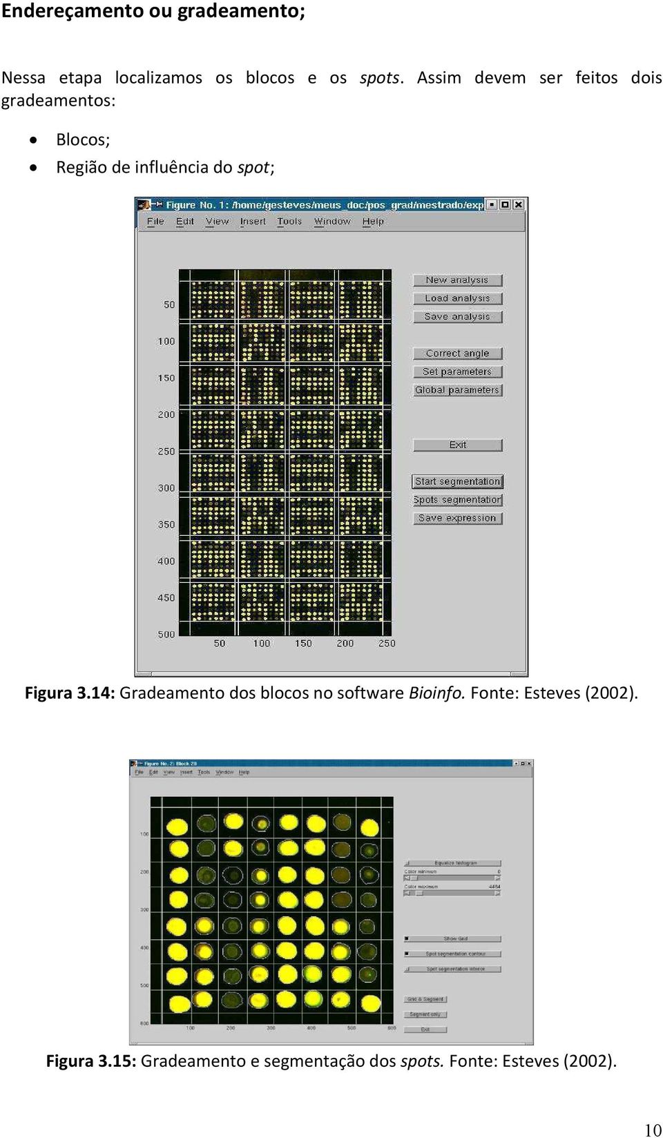 spot; Figura 3.14: Gradeamento dos blocos no software Bioinfo.