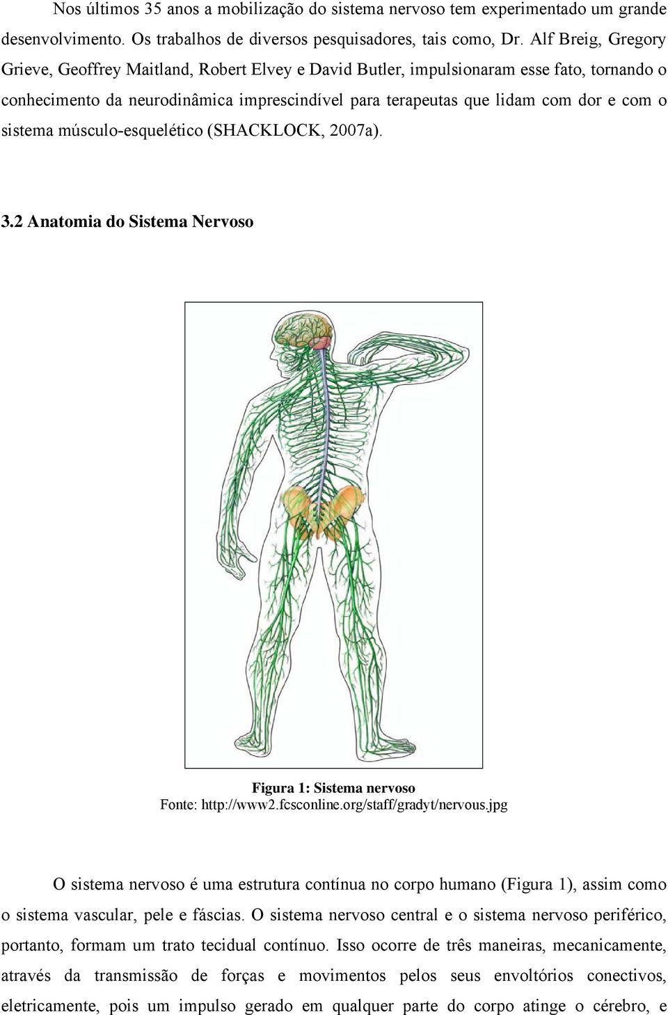 sistema músculo-esquelético (SHACKLOCK, 2007a). 3.2 Anatomia do Sistema Nervoso Figura 1: Sistema nervoso Fonte: http://www2.fcsconline.org/staff/gradyt/nervous.