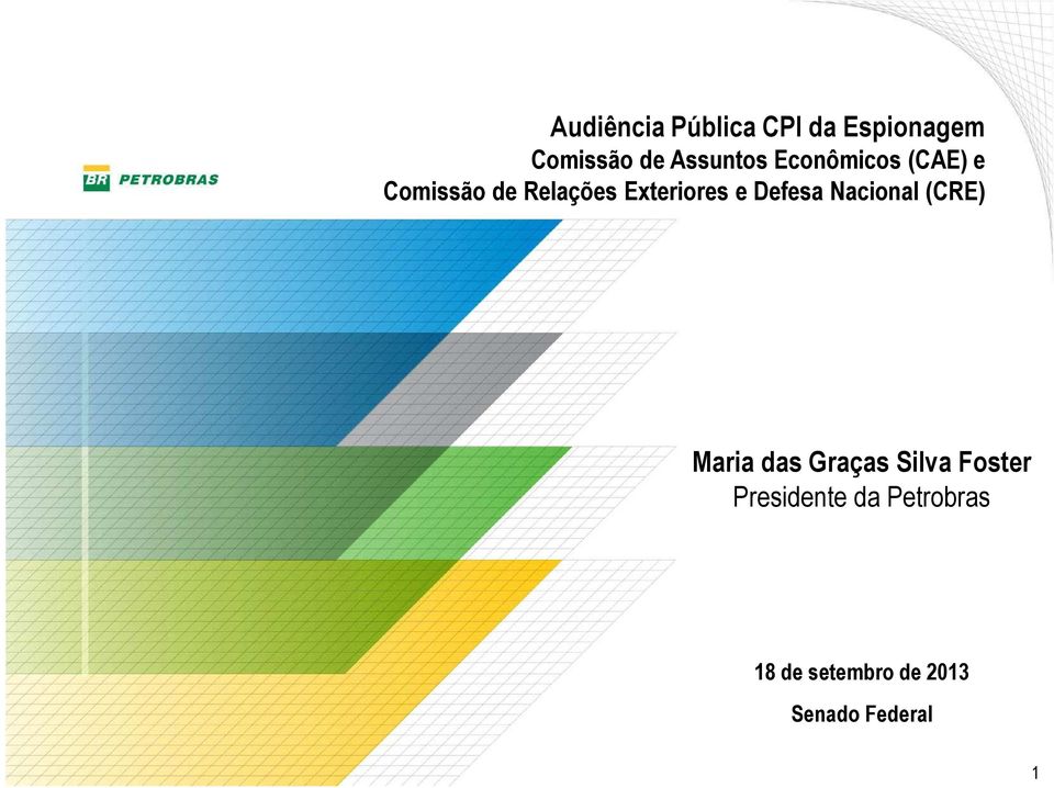 Defesa Nacional (CRE) Maria das Graças Silva Foster