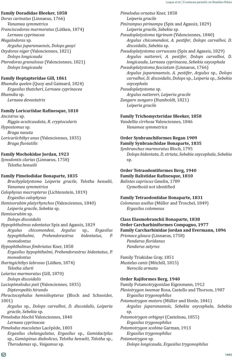 (Quoy and Gaimard, 1824) Ergasilus thatcheri, Lernaea cyprinacea Rhamdia sp. Lernaea devastatrix Family Loricariidae Rafinesque, 1810 Ancistrus sp. Riggia acuticaudata, R. cryptocularis Hypostomus sp.