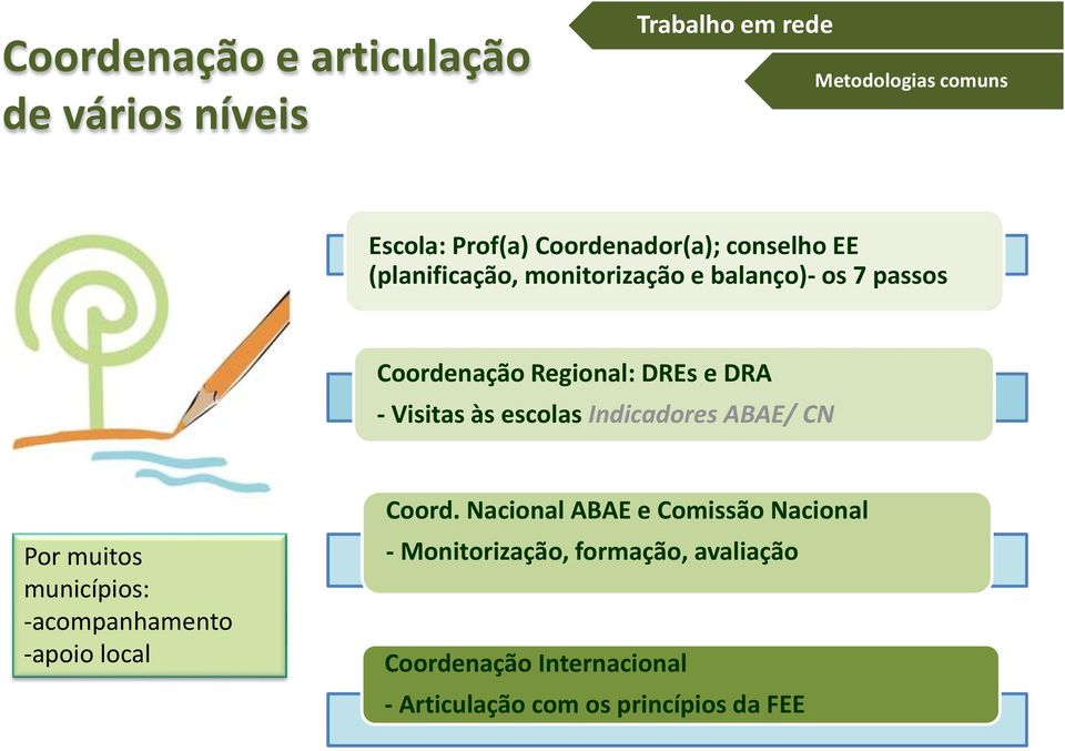 escolas Indicadores ABAE/ CN Por muitos municípios: -acompanhamento -apoio local Coord.