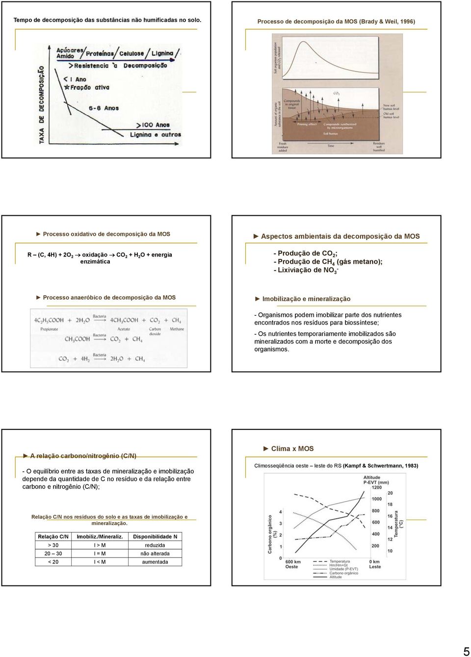 Produção de CO 2 ; - Produção de CH 4 (gás metano); - Lixiviação de NO 3 - Processo anaeróbico de decomposição da MOS Imobilização e mineralização - Organismos podem imobilizar parte dos nutrientes