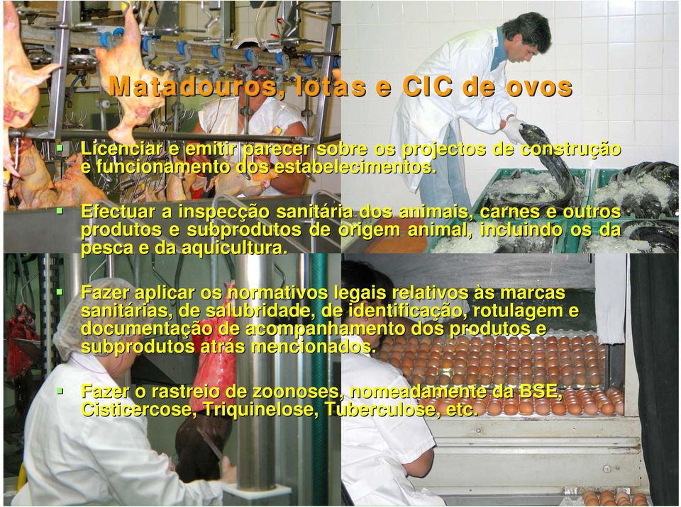 Fazer aplicar os normativos legais relativos às marcas sanitárias, de salubridade, de identificação, rotulagem e documentação de