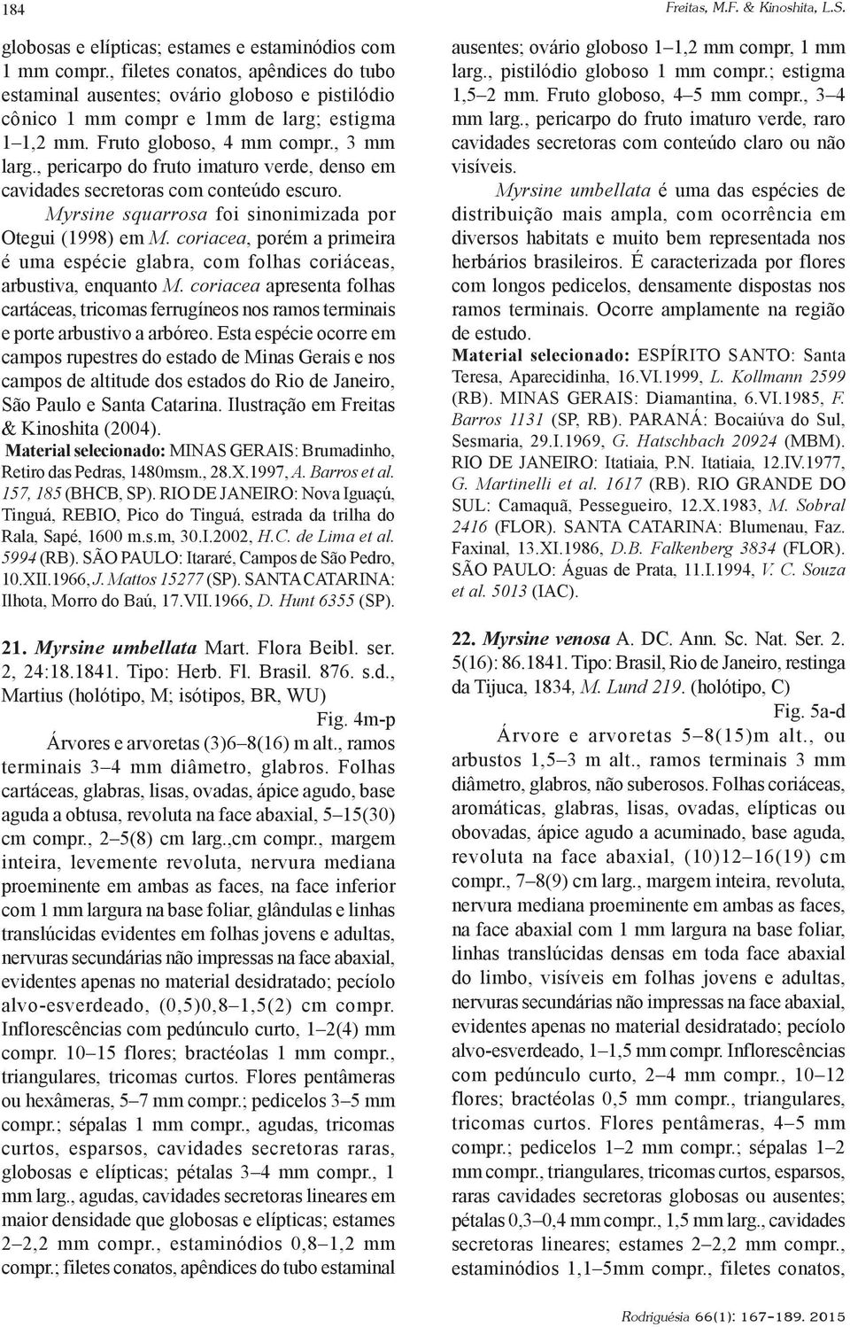 , pericarpo do fruto imaturo verde, denso em cavidades secretoras com conteúdo escuro. Myrsine squarrosa foi sinonimizada por Otegui (1998) em M.