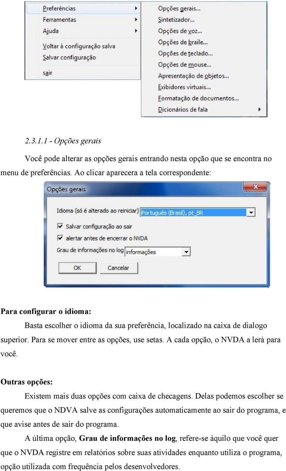 A cada opção, o NVDA a lerá para você. Outras opções: Existem mais duas opções com caixa de checagens.