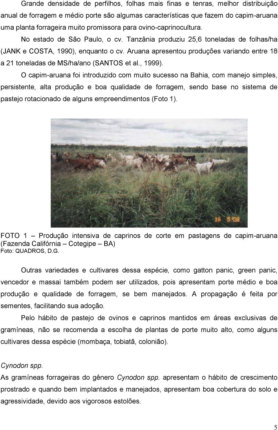 Aruana apresentou produções variando entre 18 a 21 toneladas de MS/ha/ano (SANTOS et al., 1999).