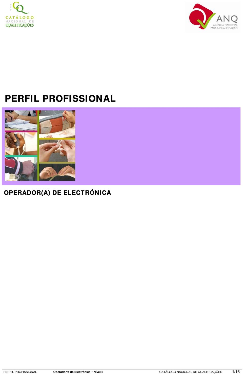 Operador/a de Electrónica Nível 2