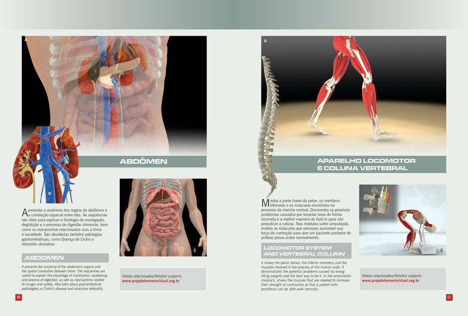 São abordadas também patologias gastrointestinais, como Doença de rohn e retocolite ulcerativa. abdomen It presents the anatomy of the abdomen s organs and the spatial correlation between them.