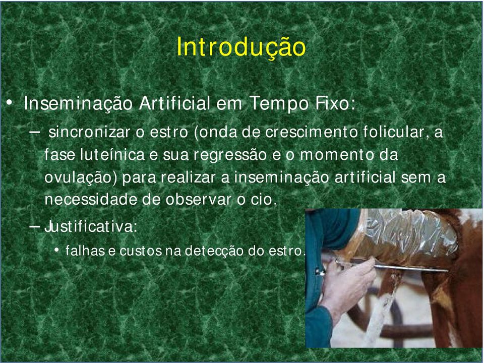 momento da ovulação) para realizar a inseminação artificial sem a