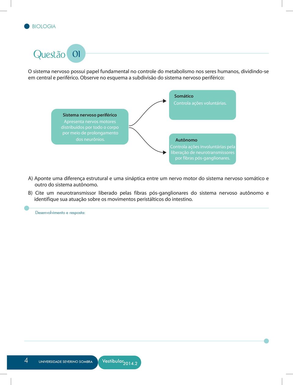 Sistema nervoso periférico Apresenta nervos motores distribuídos por todo o corpo por meio de prolongamento dos neurônios.