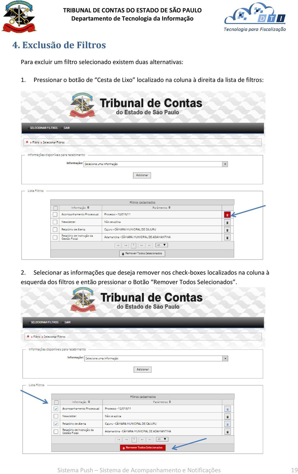 Selecionar as informações que deseja remover nos check-boxes localizados na coluna à esquerda dos