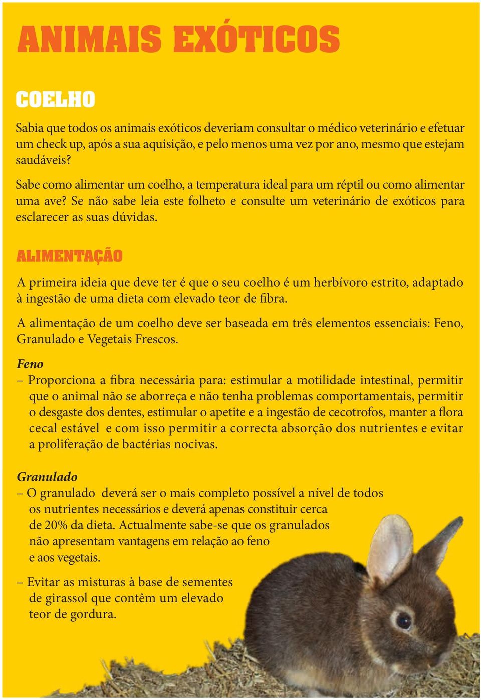 Se não sabe leia este folheto e consulte um veterinário de exóticos para esclarecer as suas dúvidas.