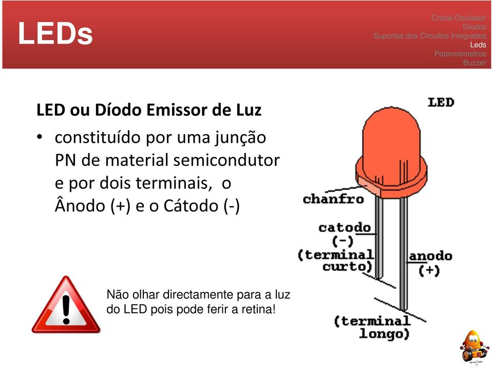 terminais, o Ânodo (+) e o Cátodo (-) Não olhar