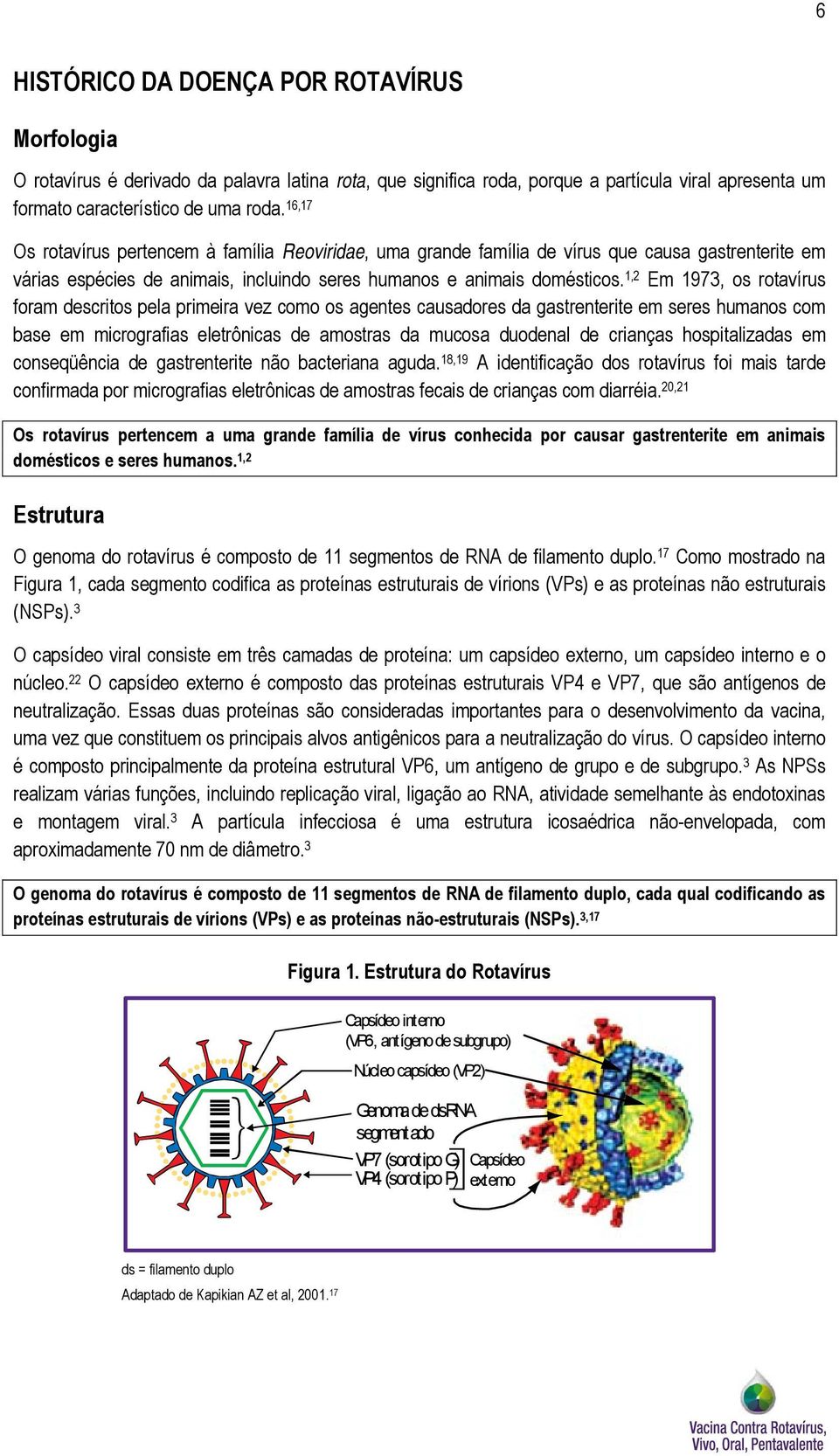 1,2 Em 1973, os rotavírus foram descritos pela primeira vez como os agentes causadores da gastrenterite em seres humanos com base em micrografias eletrônicas de amostras da mucosa duodenal de