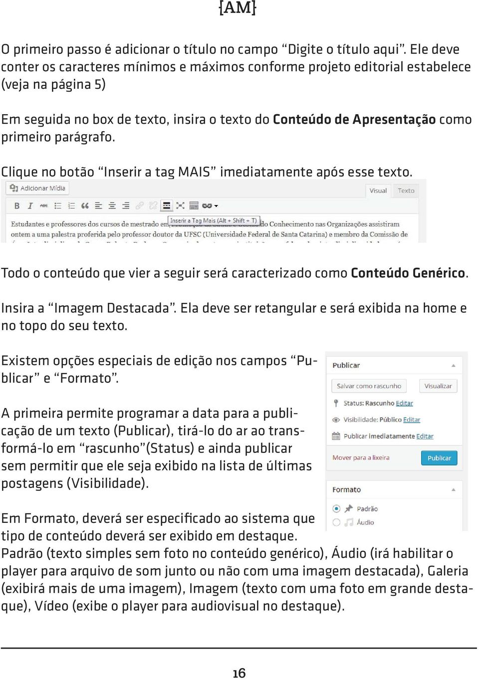 Clique no botão Inserir a tag MAIS imediatamente após esse texto. Todo o conteúdo que vier a seguir será caracterizado como Conteúdo Genérico. Insira a Imagem Destacada.