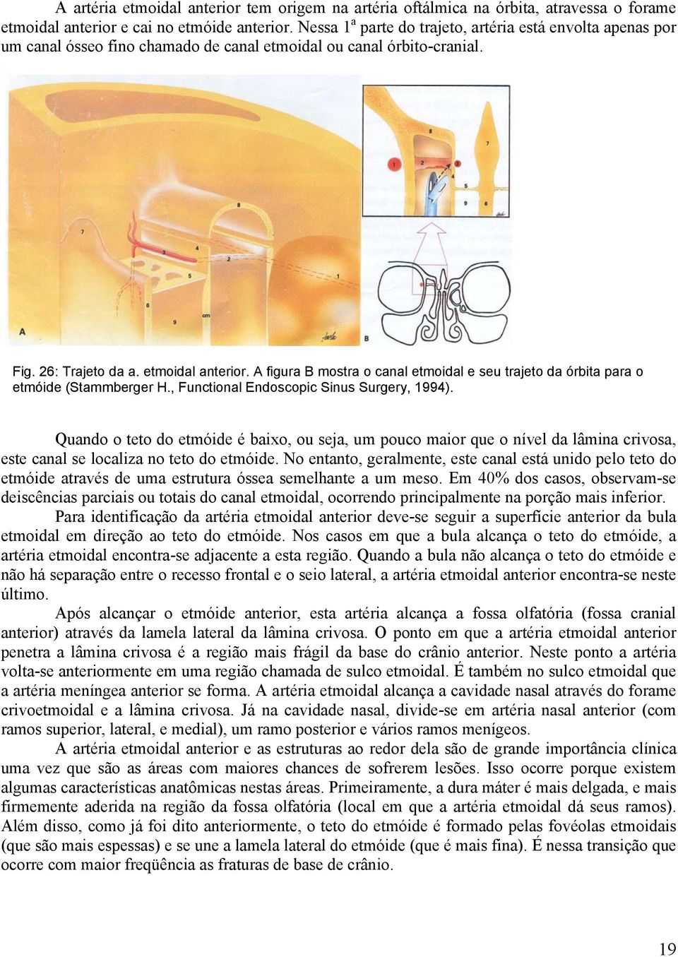 A figura B mostra o canal etmoidal e seu trajeto da órbita para o etmóide (Stammberger H., Functional Endoscopic Sinus Surgery, 1994).