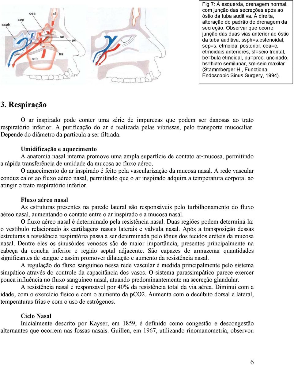 uncinado, hs=hiato semilunar, sm-seio maxilar (Stammberger H., Functional Endoscopic Sinus Surgery, 1994). 3.