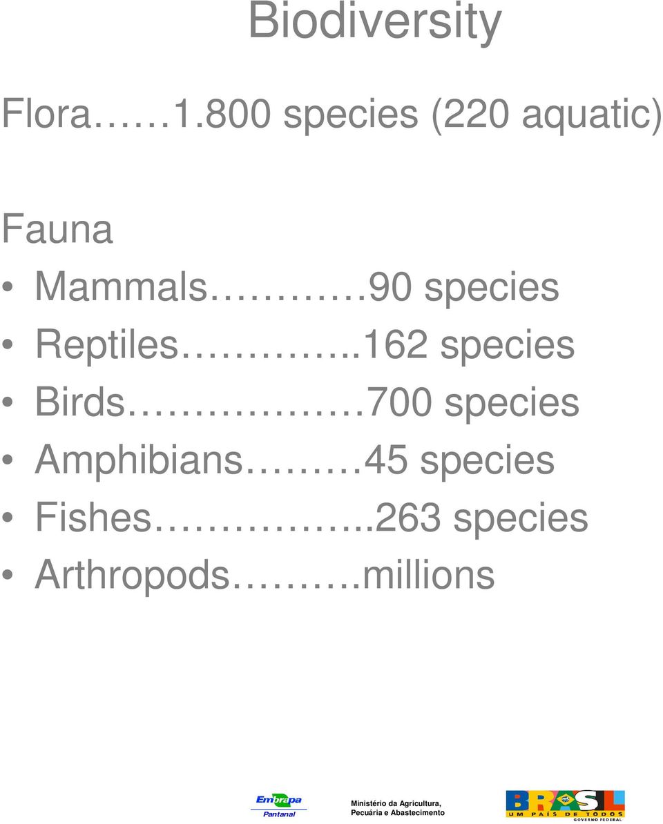 species Reptiles.