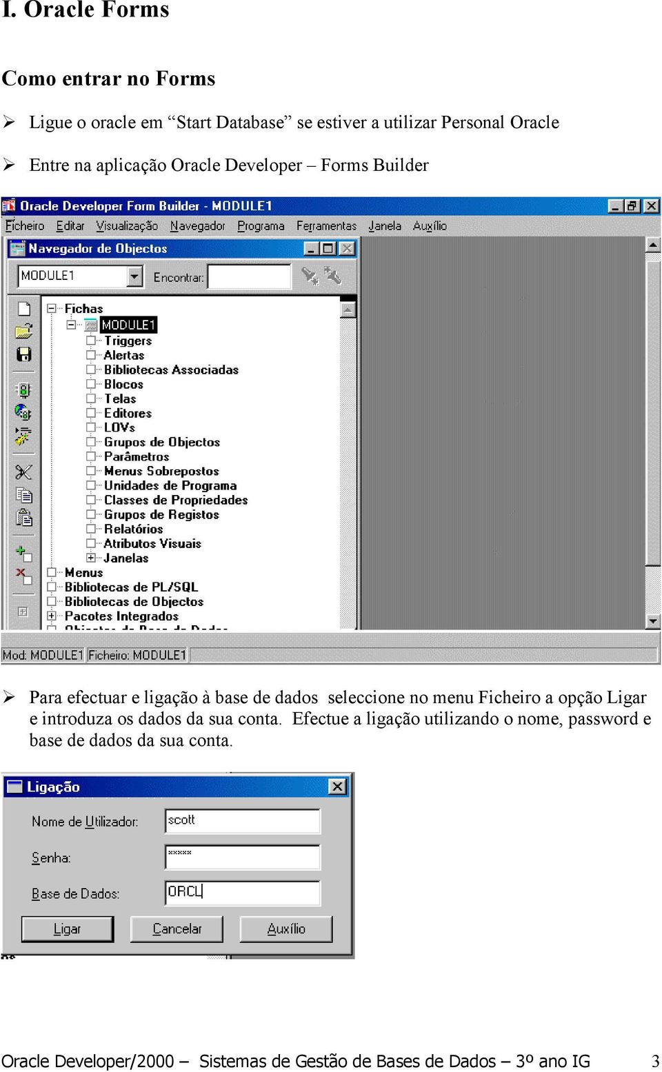 seleccione no menu Ficheiro a opção Ligar e introduza os dados da sua conta.