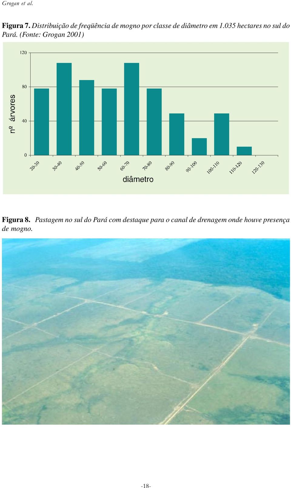 em 1.035 hectares no sul do Pará.