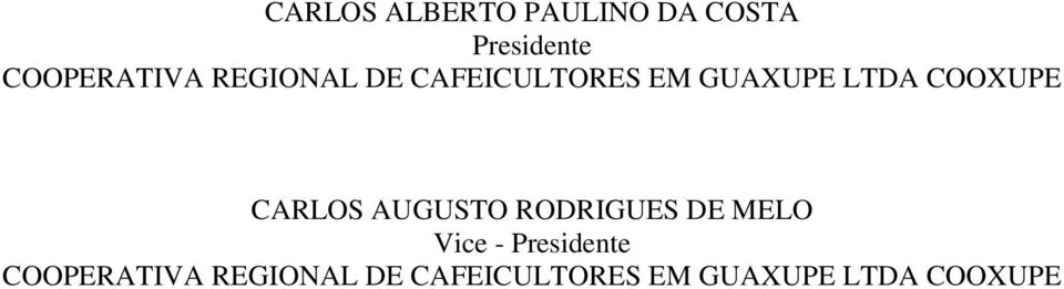 CARLOS AUGUSTO RODRIGUES DE MELO Vice - Presidente