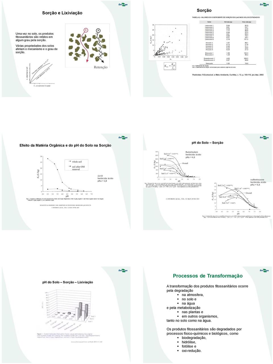 Solo Sorção Lixiviação ph do Solo Sorção Lixiviação Processos de Transformação A transformação dos produtos fitossanitários ocorre pela degradação na atmosfera, no solo e na água e pela