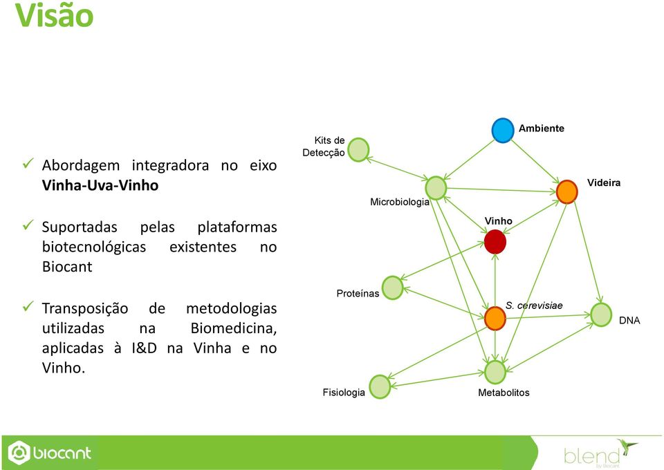 existentes no Biocant Vinho Transposição de metodologias utilizadas na