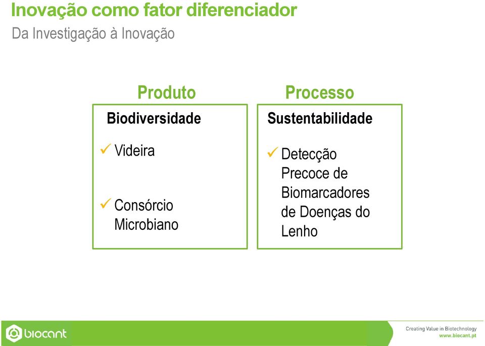 Videira Consórcio Microbiano Processo