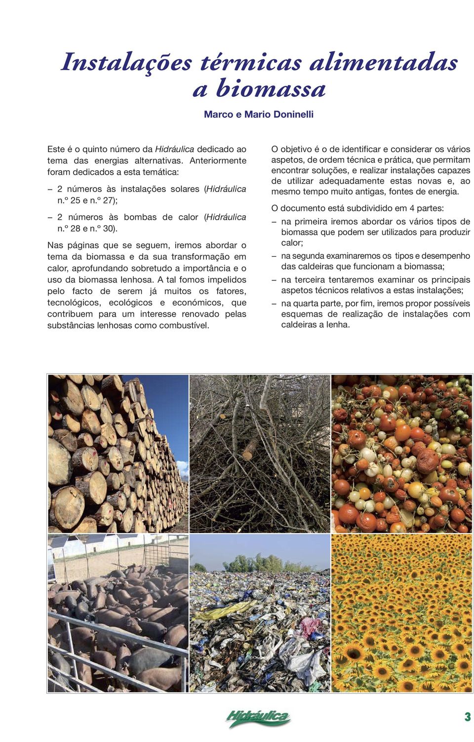 Nas páginas que se seguem, iremos abordar o tema da biomassa e da sua transformação em calor, aprofundando sobretudo a importância e o uso da biomassa lenhosa.