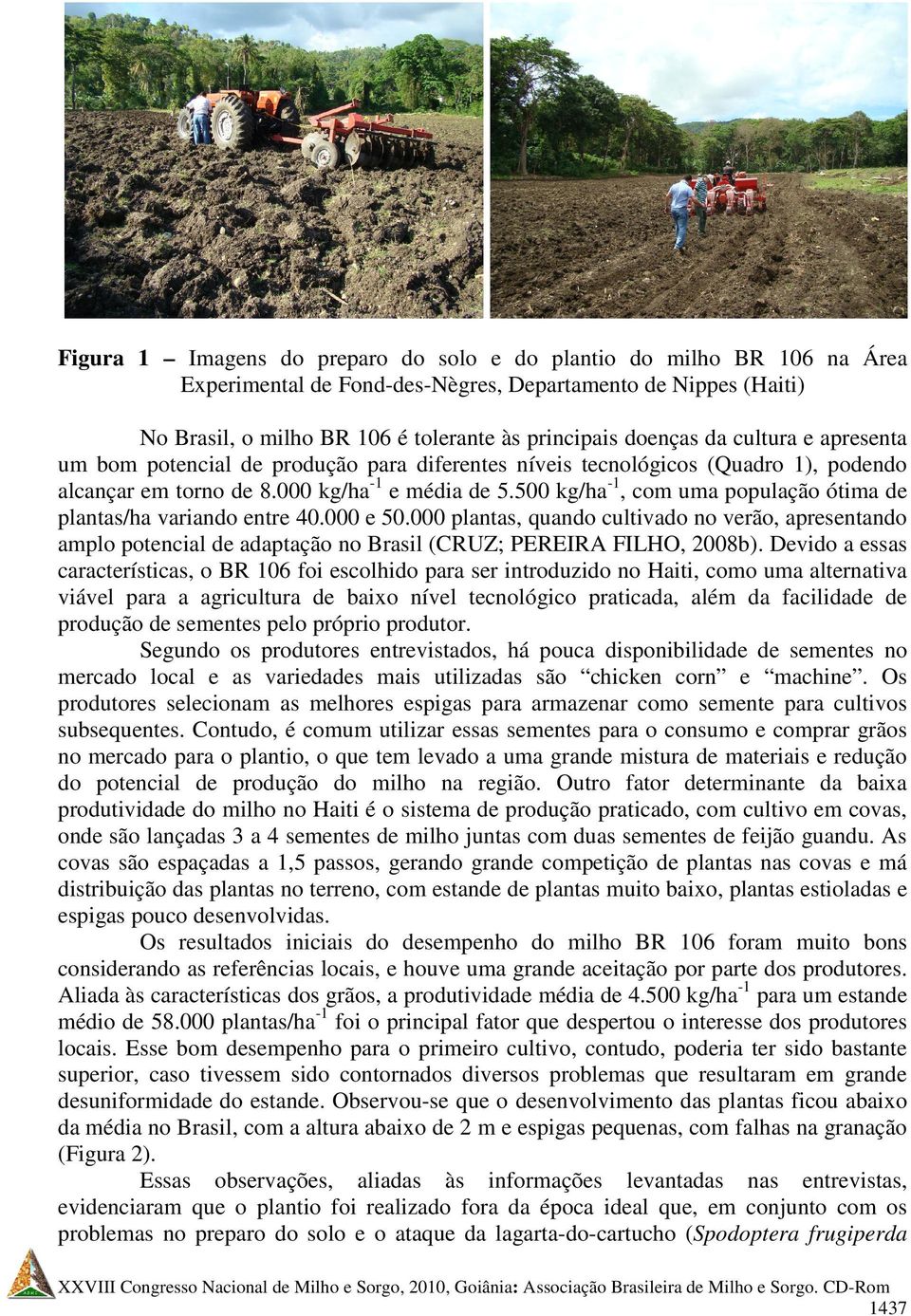 500 kg/ha-1, com uma população ótima de plantas/ha variando entre 40.000 e 50.000 plantas, quando cultivado no verão, apresentando amplo potencial de adaptação no Brasil (CRUZ; PEREIRA FILHO, 2008b).