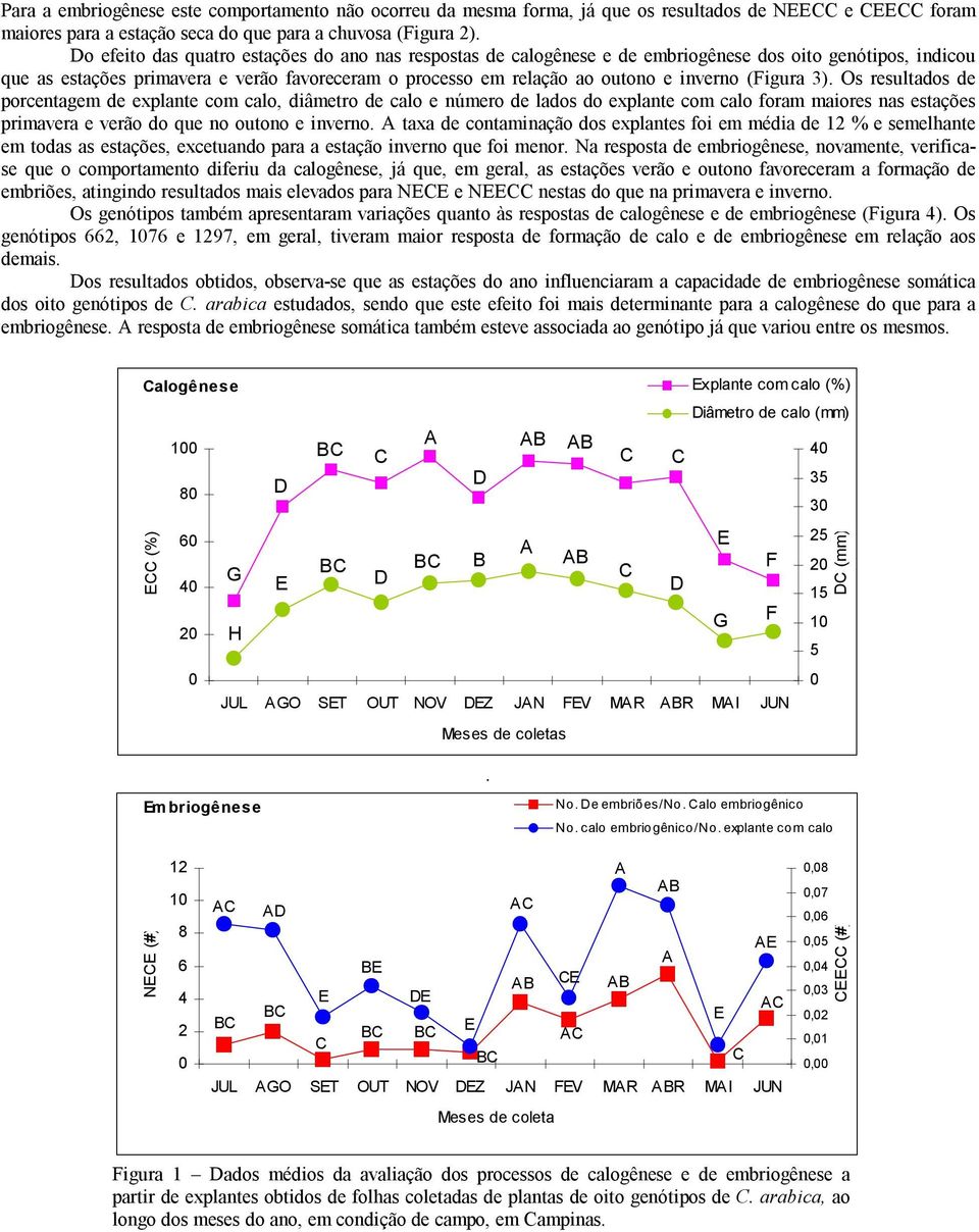 (Figura ). Os resultados de porcentagem de explante com calo, diâmetro de calo e número de lados do explante com calo foram maiores nas estações primavera e verão do que no outono e inverno.