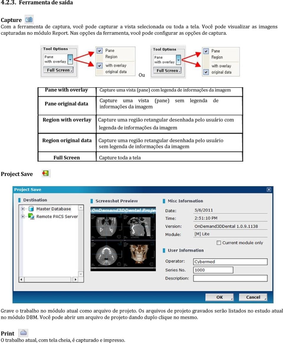 Ou Pane with overlay Pane original data Capture uma vista (pane) com legenda de informações da imagem Capture uma vista (pane) sem legenda de informações da imagem Region with overlay Capture uma