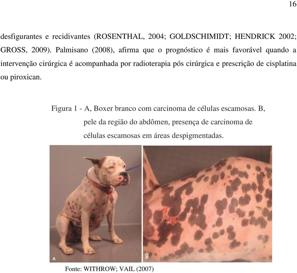 radioterapia pós cirúrgica e prescrição de cisplatina ou piroxican.