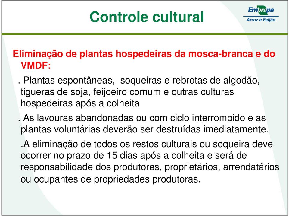 As lavouras abandonadas ou com ciclo interrompido e as plantas voluntárias deverão ser destruídas imediatamente.