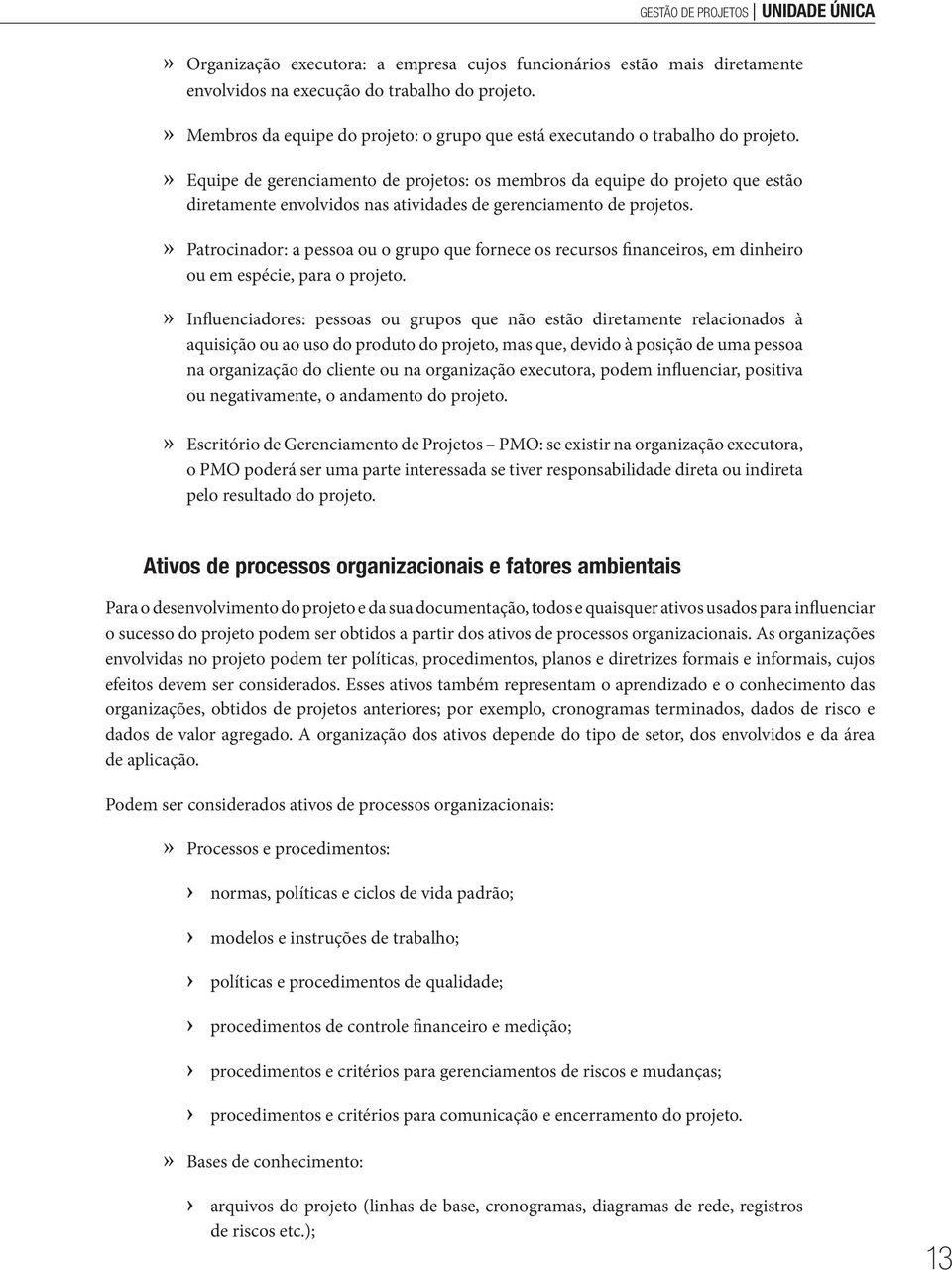 Equipe de gerenciamento de projetos: os membros da equipe do projeto que estão diretamente envolvidos nas atividades de gerenciamento de projetos.