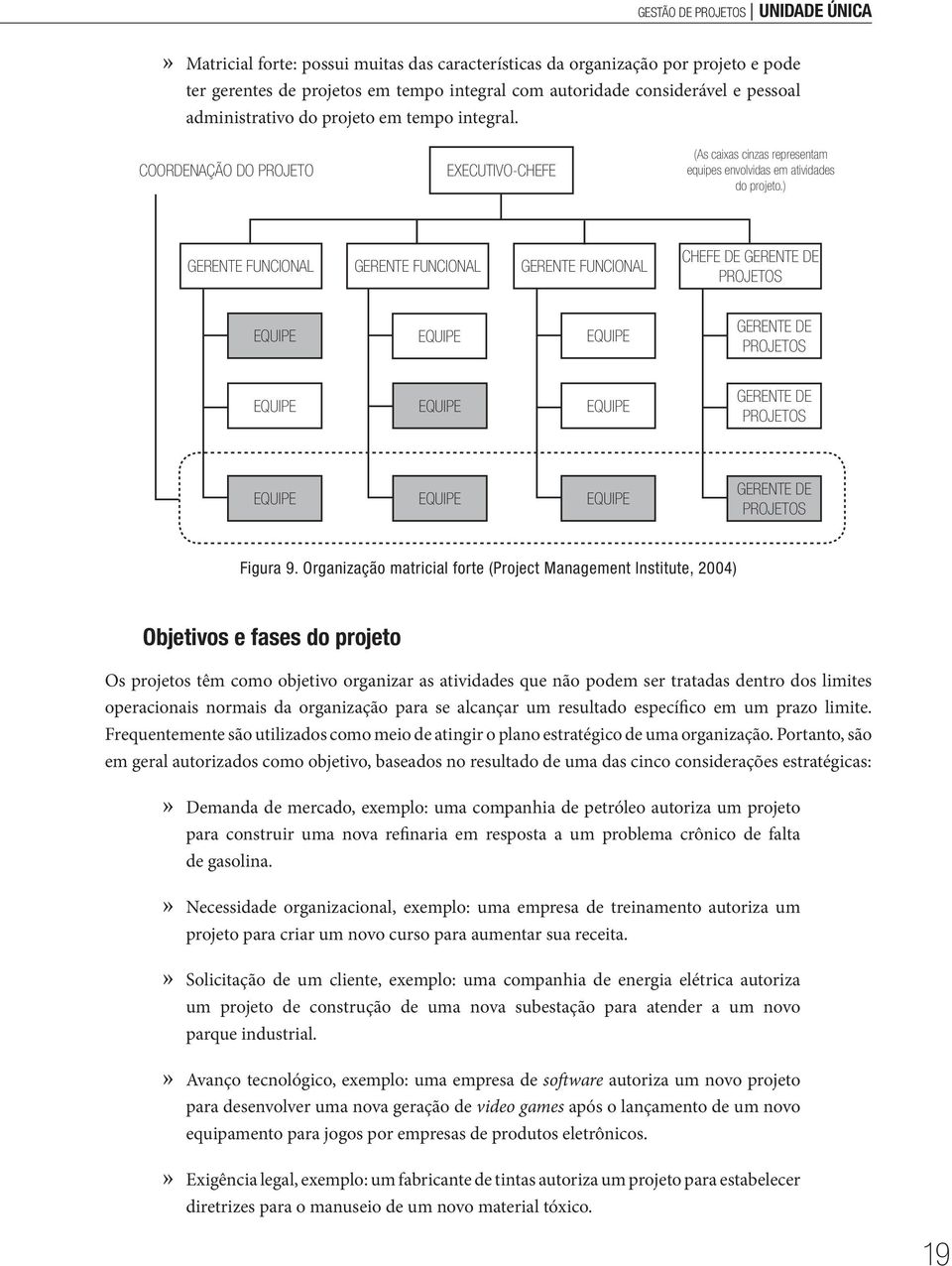 ) GERENTE FUNCIONAL GERENTE FUNCIONAL GERENTE FUNCIONAL CHEFE DE GERENTE DE PROJETOS GERENTE DE PROJETOS GERENTE DE PROJETOS GERENTE DE PROJETOS Figura 9.