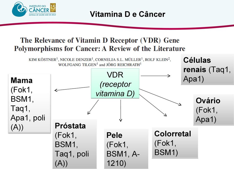 (receptor vitamina D) Pele (Fok1, BSM1, A- 1210)