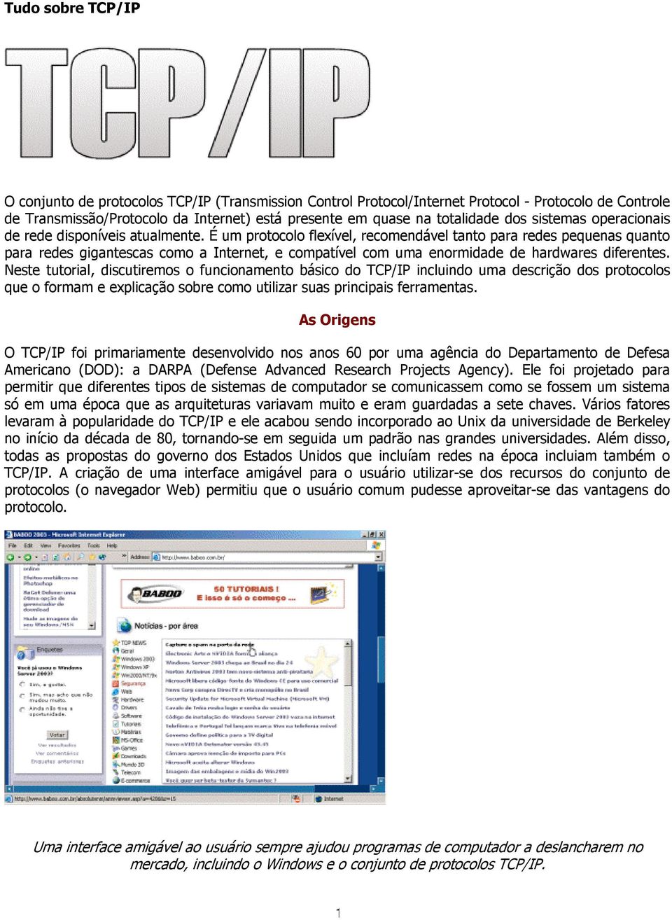 É um protocolo flexível, recomendável tanto para redes pequenas quanto para redes gigantescas como a Internet, e compatível com uma enormidade de hardwares diferentes.