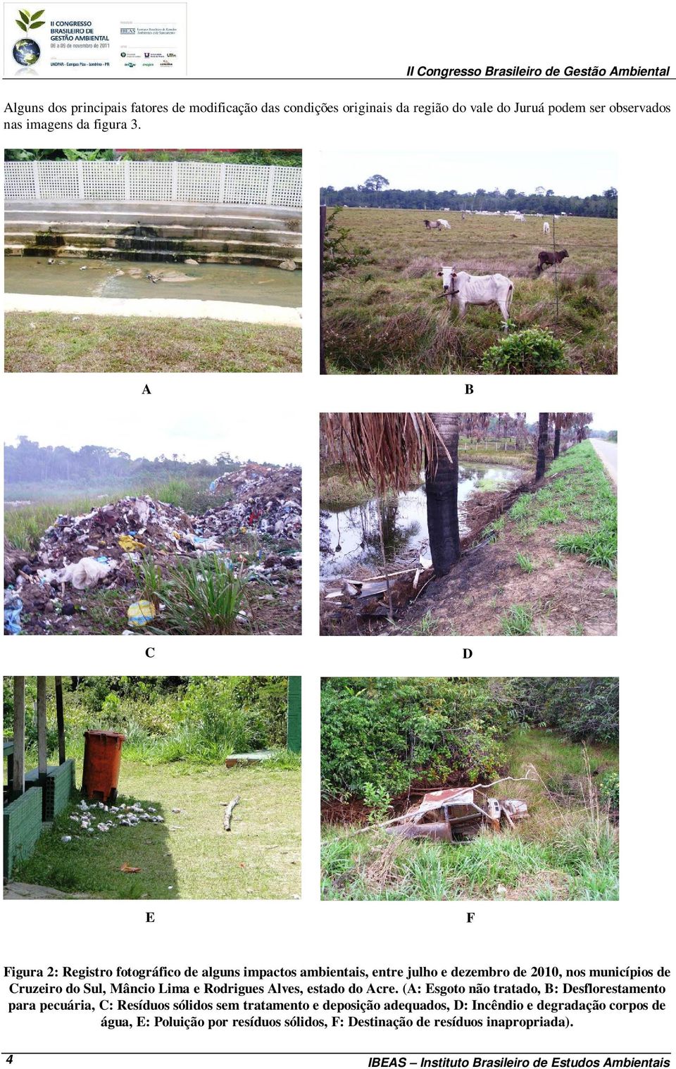 A B C D E F Figura 2: Registro fotográfico de alguns impactos ambientais, entre julho e dezembro de 2010, nos municípios de Cruzeiro do Sul, Mâncio Lima e Rodrigues
