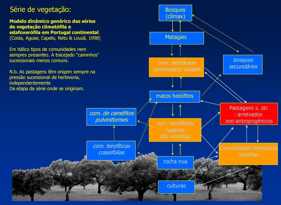 As pastagens têm origem sempre na pressão sucessional de herbivoria, independentemente Da etapa da série onde se originam. Bosques (clímax) Matagais com.