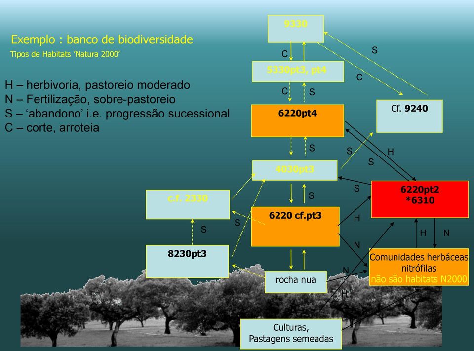 9240 4030pt3 c.f. 2330 6220pt2 *6310 8230pt3 6220 cf.